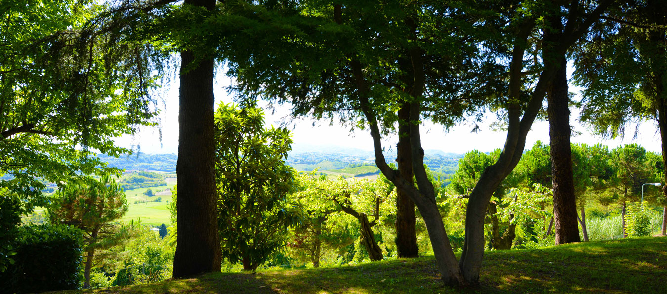 tenuta_san_michele_moncucco_9