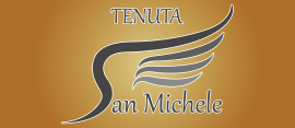 Tenuta San Michele a Moncucco